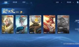 教练皮肤爆料视频大全,揭秘游戏界时尚潮流